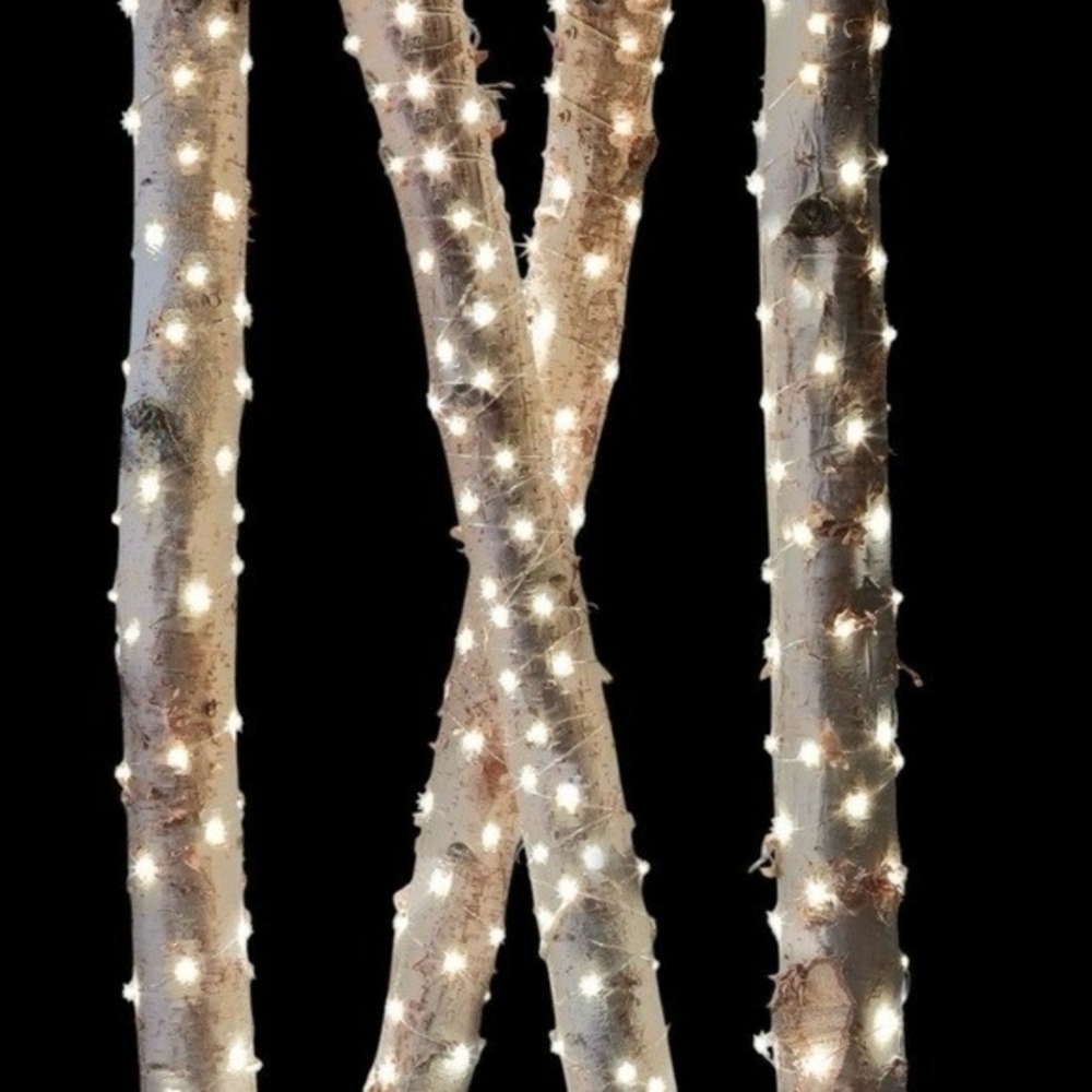 Apothecary & Company Micro LED String Lights 10ft Battery Powered White NIB - Picture 3 of 8